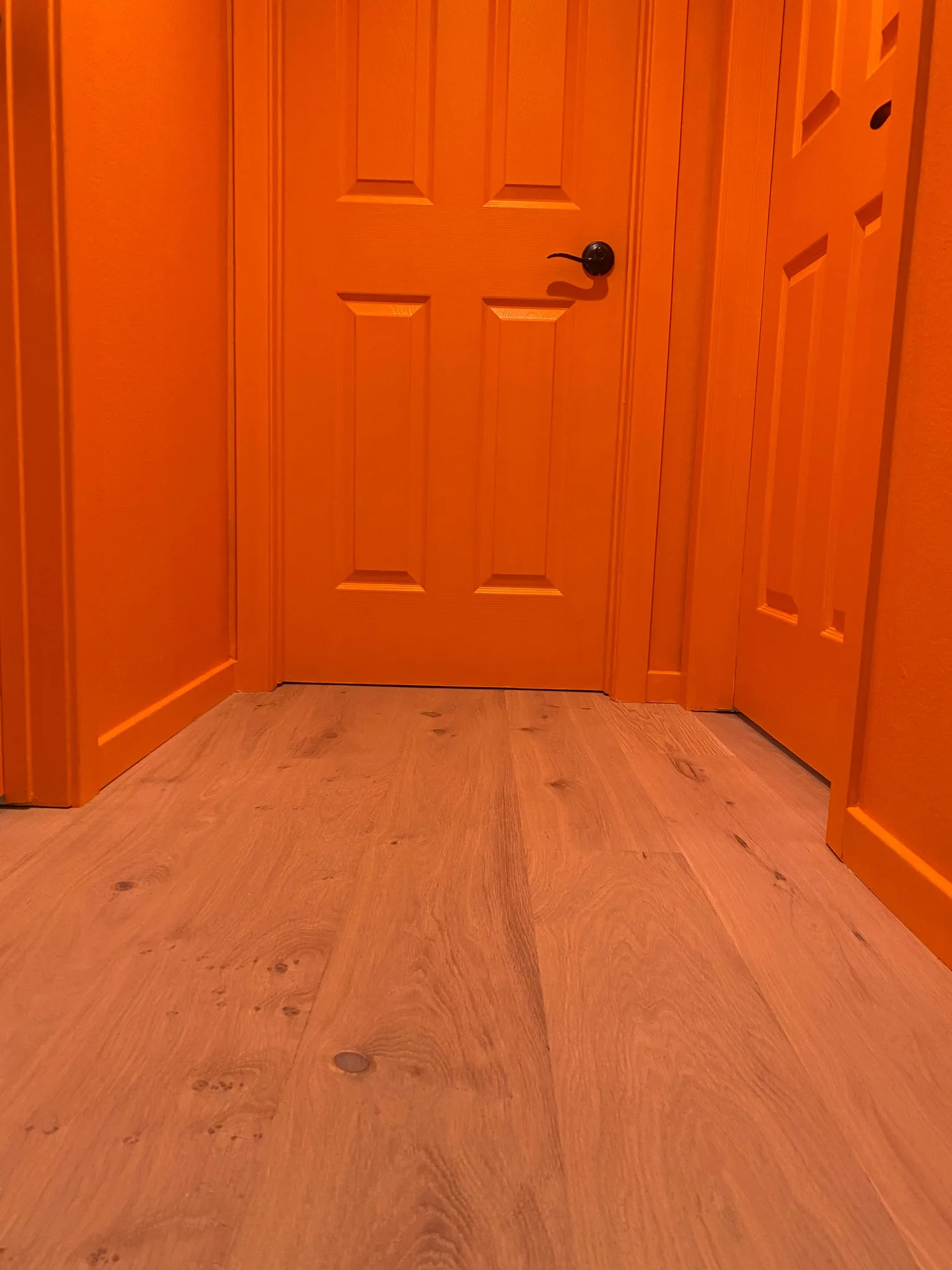 Wide-plank white oak through the hallway between orange doors in Agoura Hills