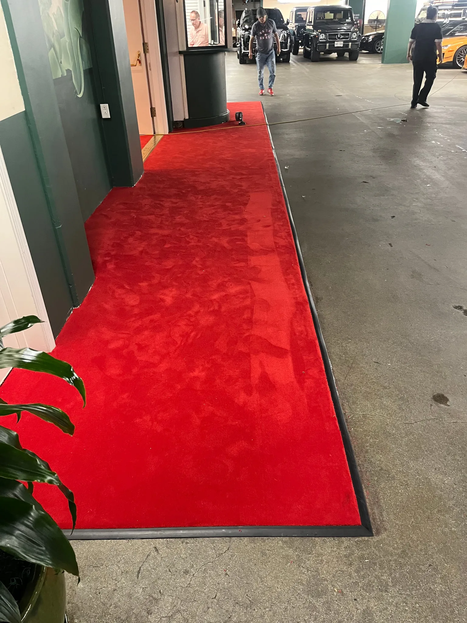 Red carpet runner along an entry drive