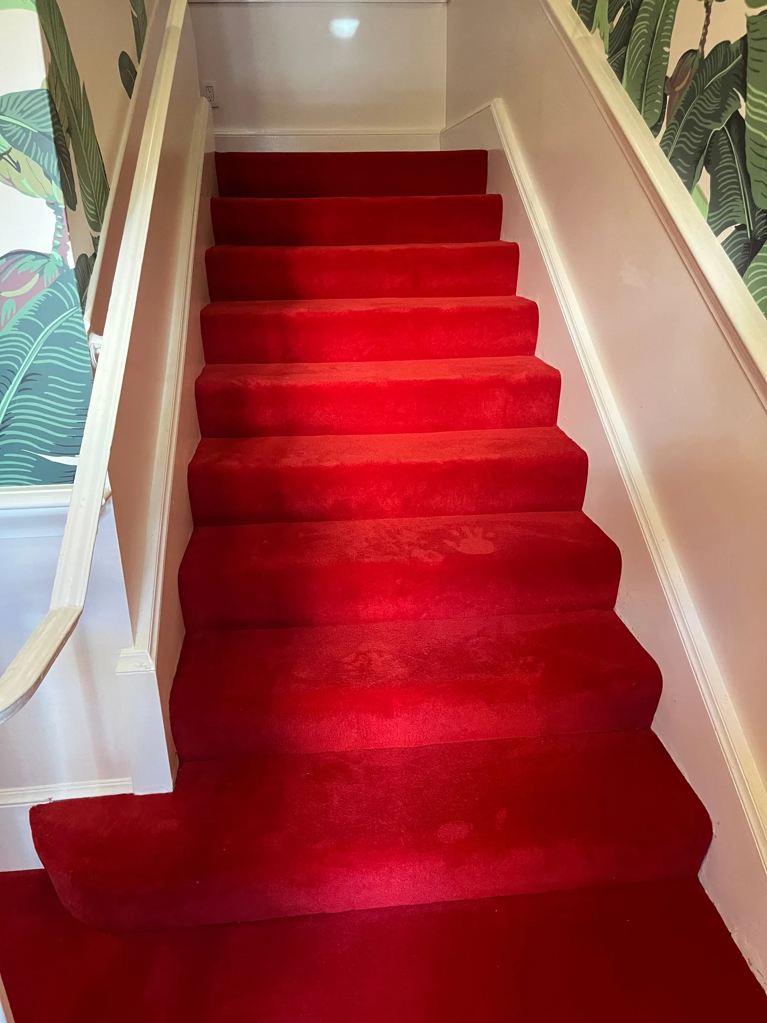 Red carpet on a stair run