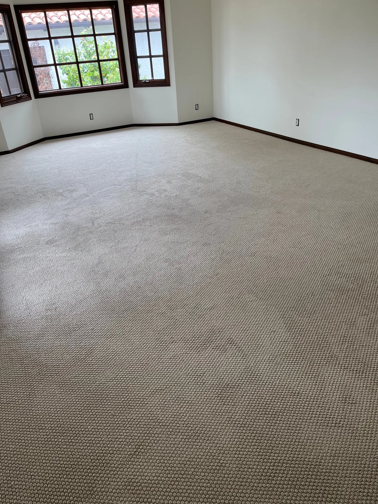 A hard-wearing loop for a room that gets daily use