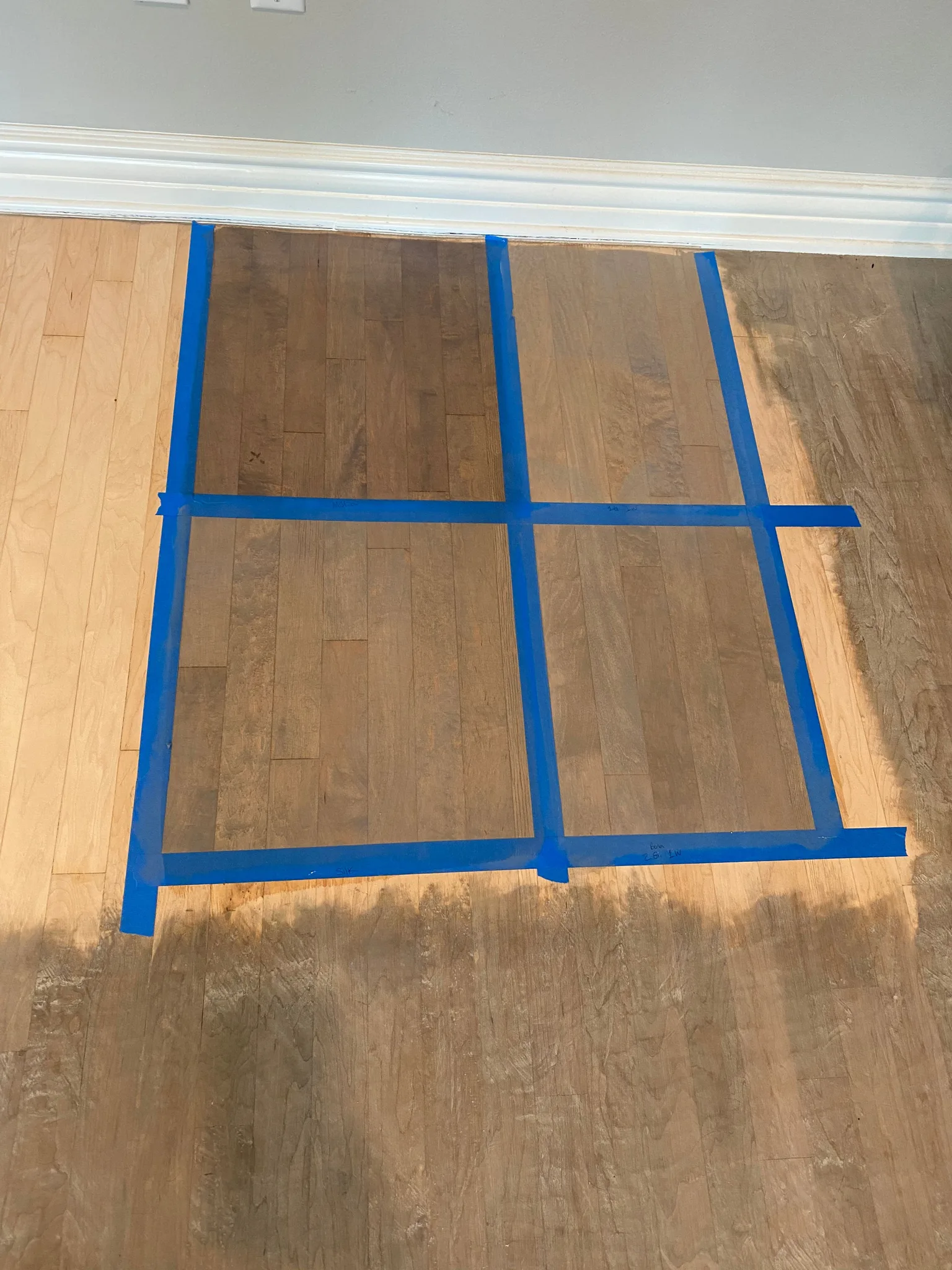 Four stain samples taped out on a sanded strip floor