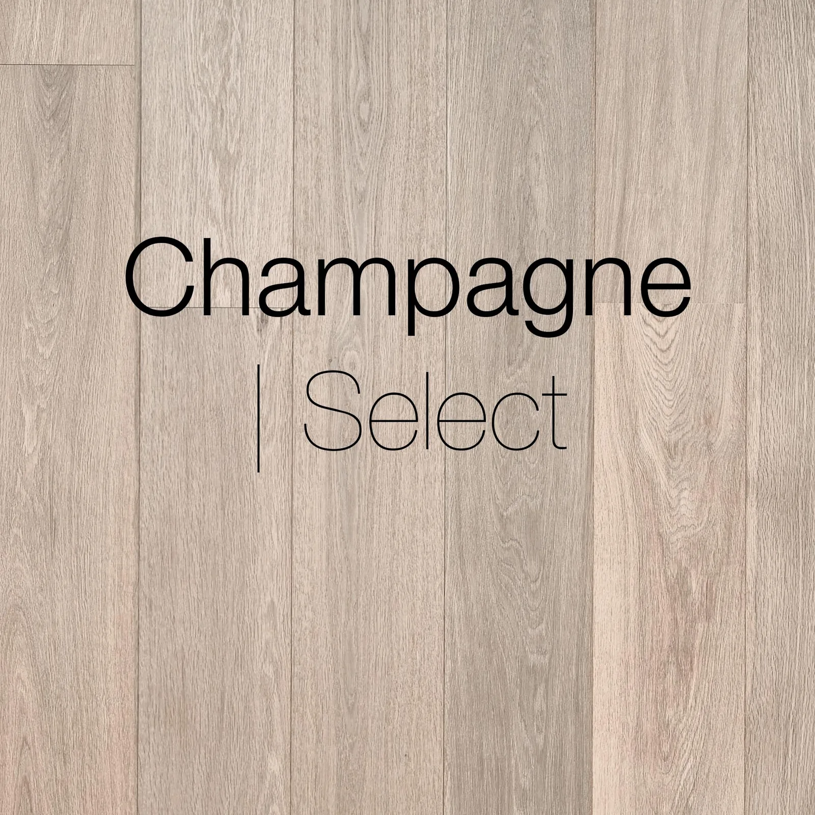 Champagne, Select — Allwood 7-Inch Engineered