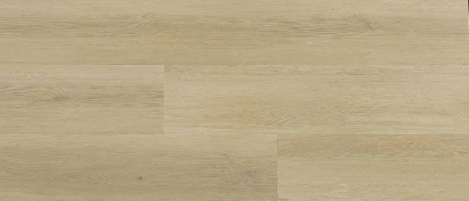 C1204 Sirius — American Floor Distributors Celestial Collection