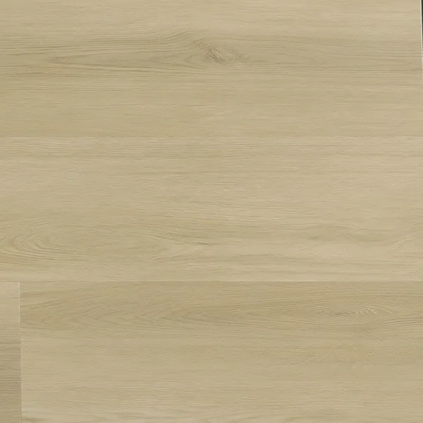 C1204 Sirius — American Floor Distributors Celestial Collection
