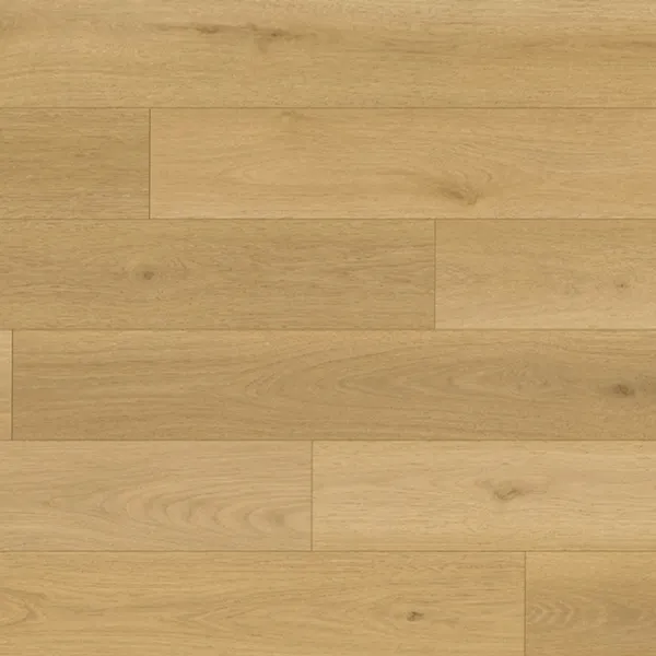 O2501 Zeus — American Floor Distributors Olympus Collection