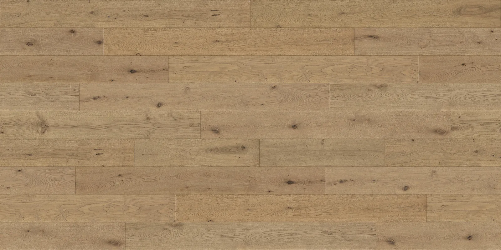 NY-01 Imperial echo — American Floor Distributors Ravenna Collection NY