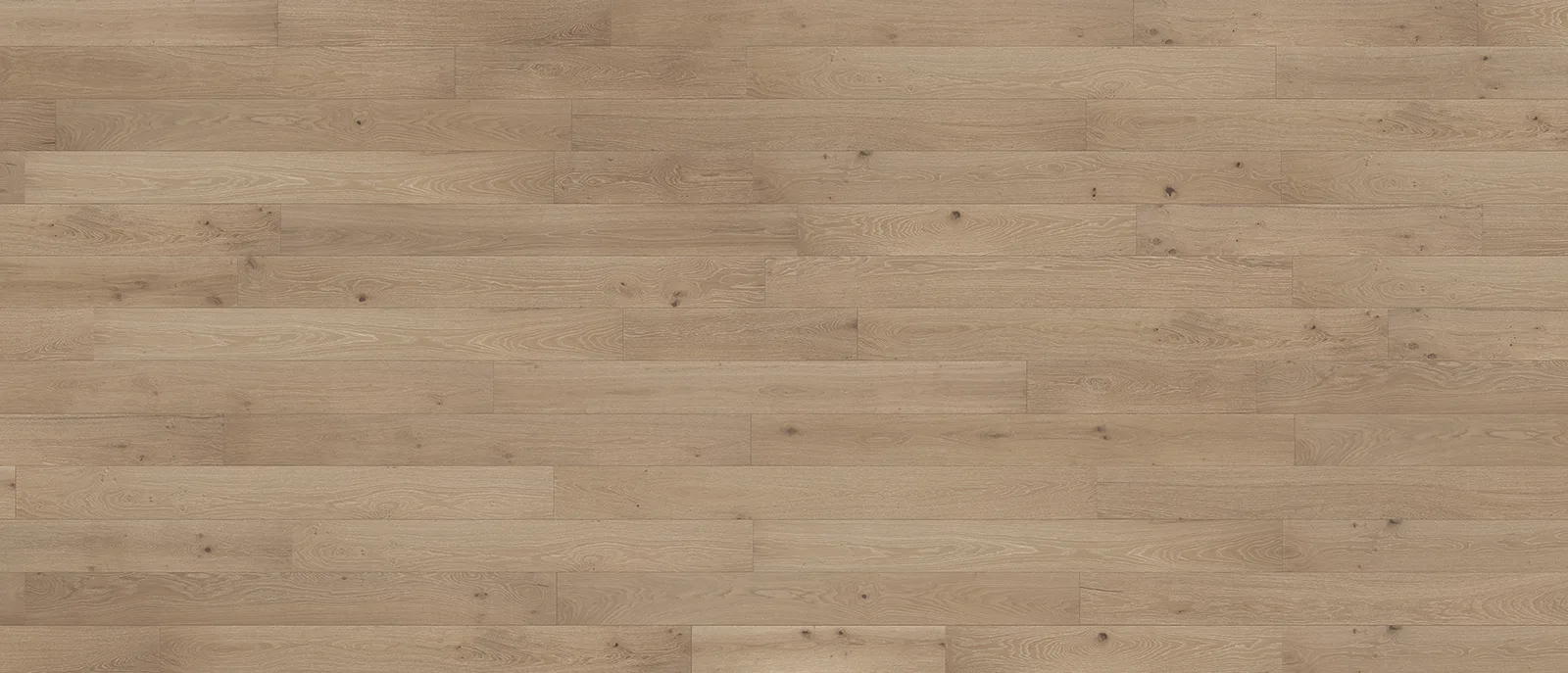RC222 Lille — American Floor Distributors Ravenna Collection