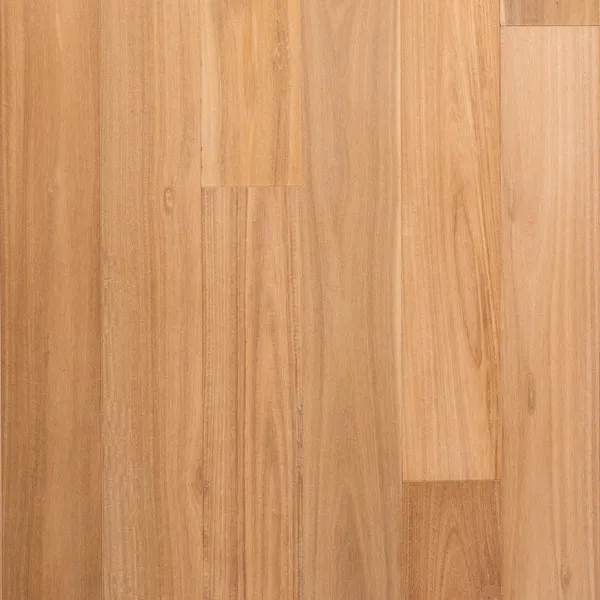Corsica — Bentham Plank Belleza