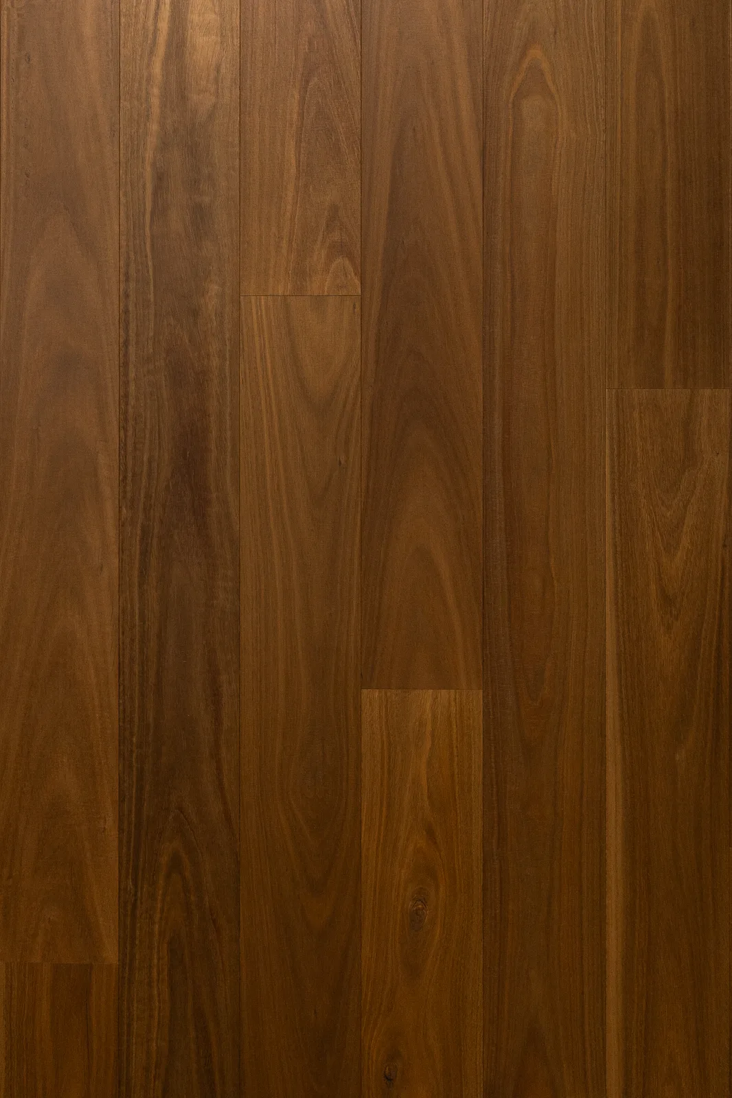 Elba — Bentham Plank Belleza