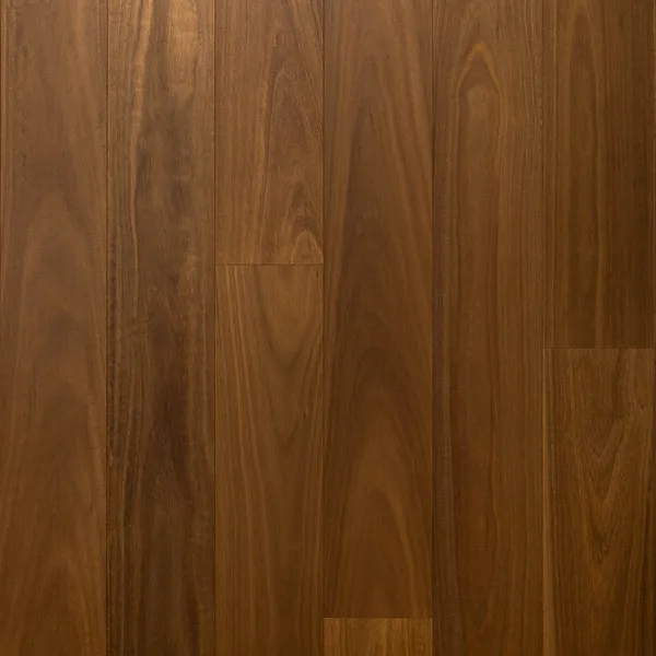 Elba — Bentham Plank Belleza