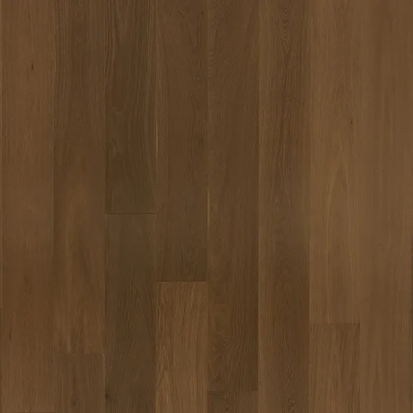 Buonarroti Prime — Bentham Plank Bentham Plank