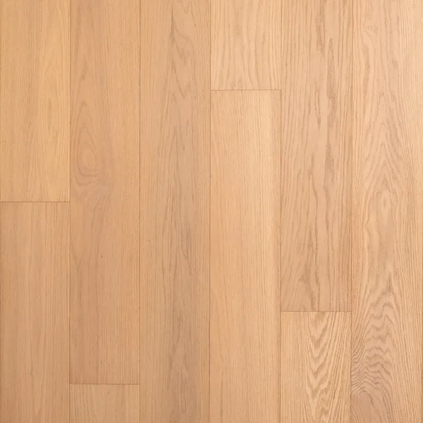 Elara — Bentham Plank Bentham Plank