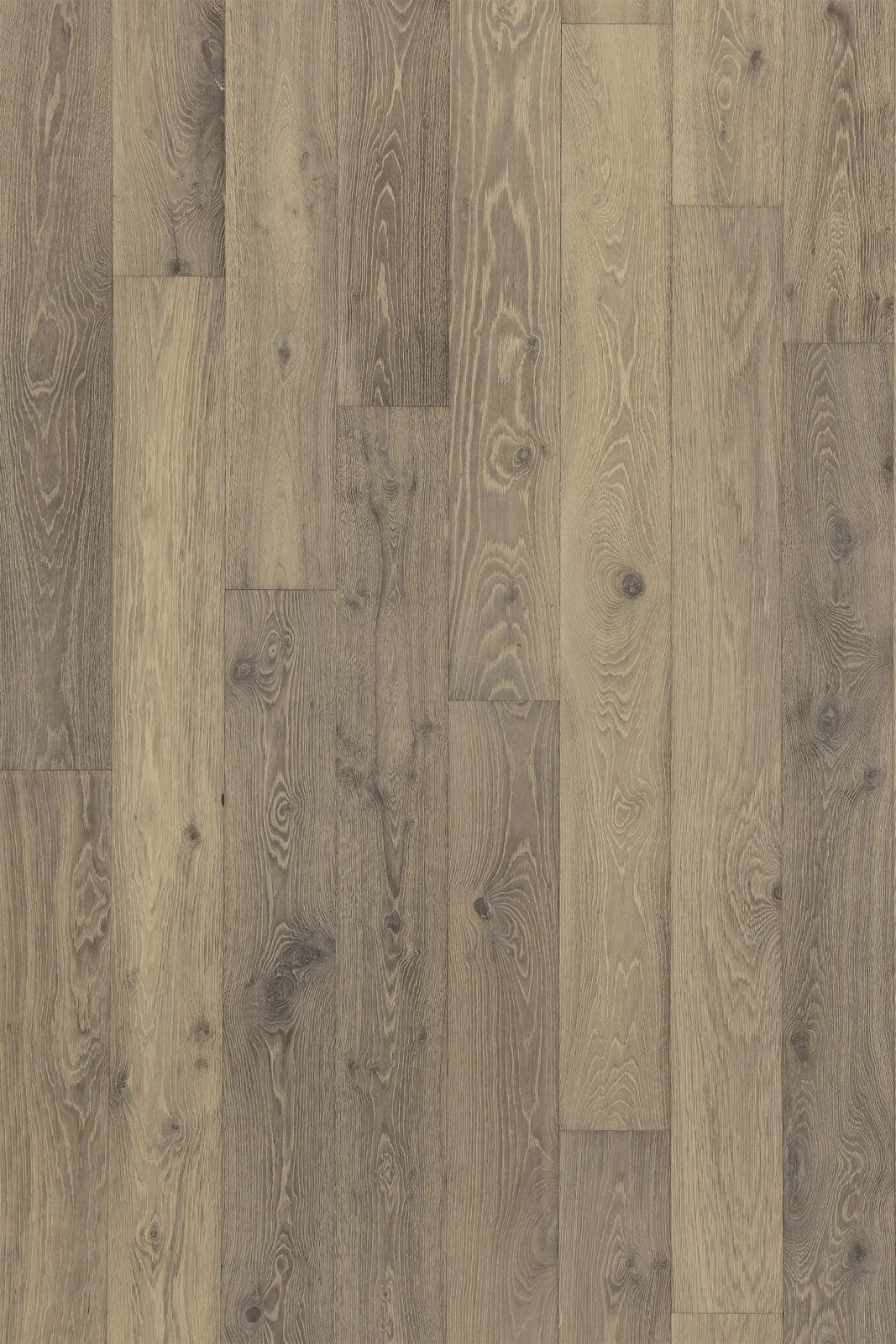 Creekside — Bentham Plank Gaia