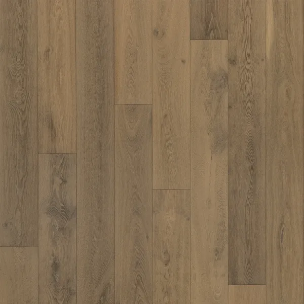 Gravina — Bentham Plank Gaia