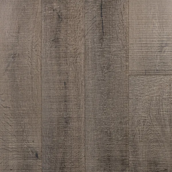 Snow Storm — Bentham Plank Gaia