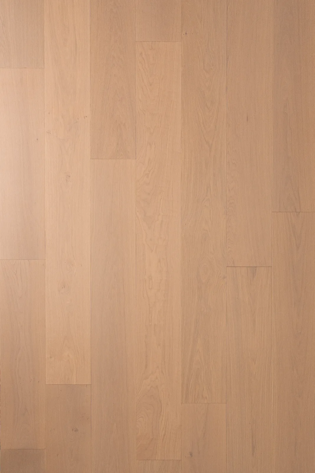 Freya — Bentham Plank Lumea