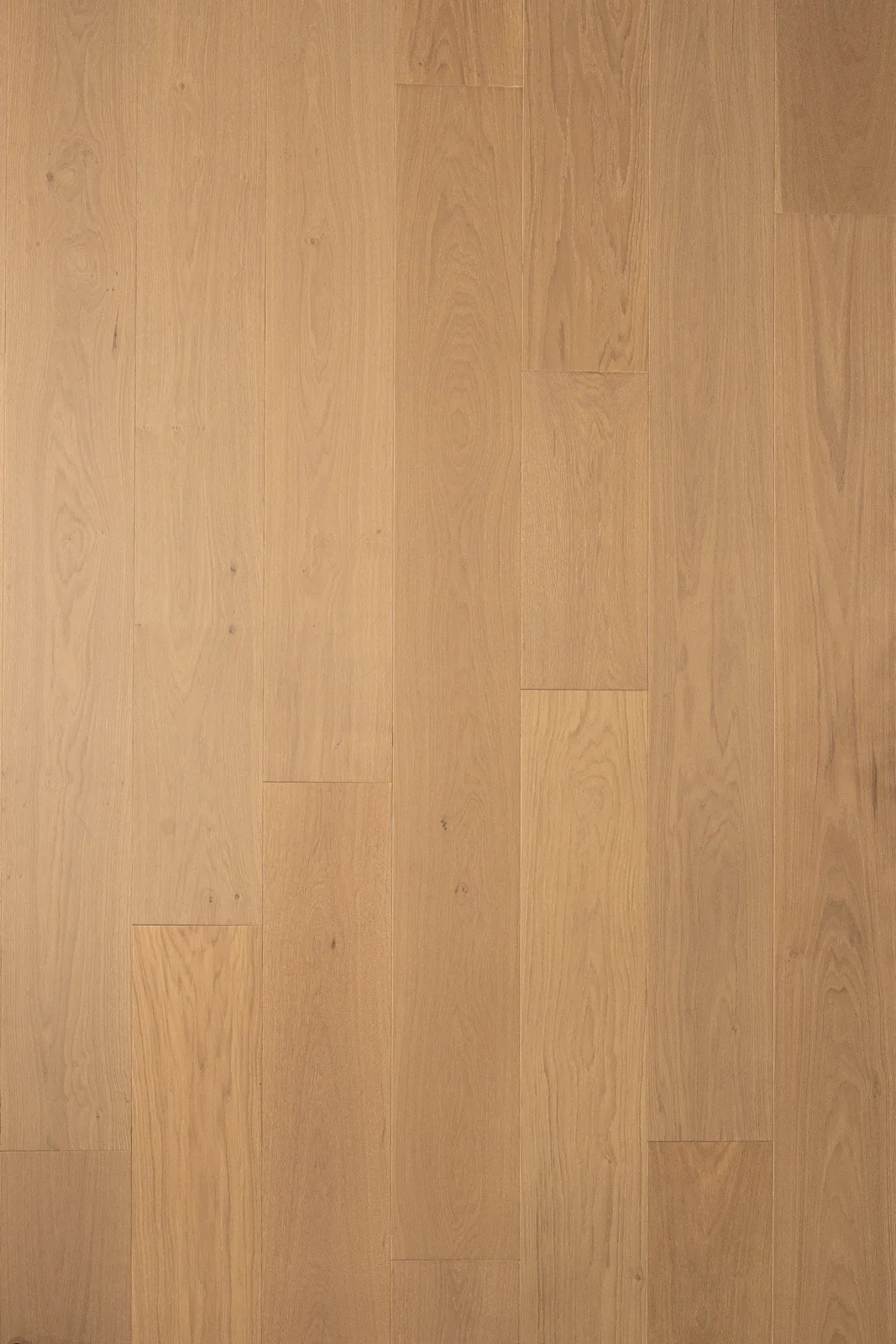Lavinia — Bentham Plank Lumea