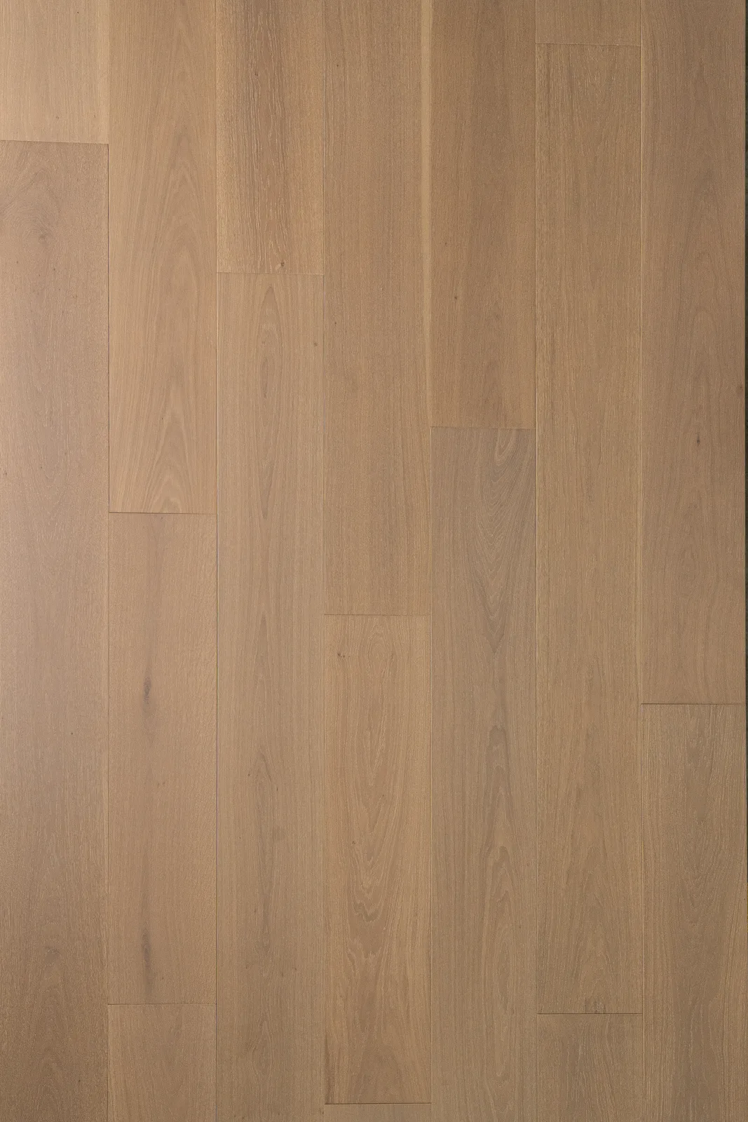 Minori — Bentham Plank Lumea