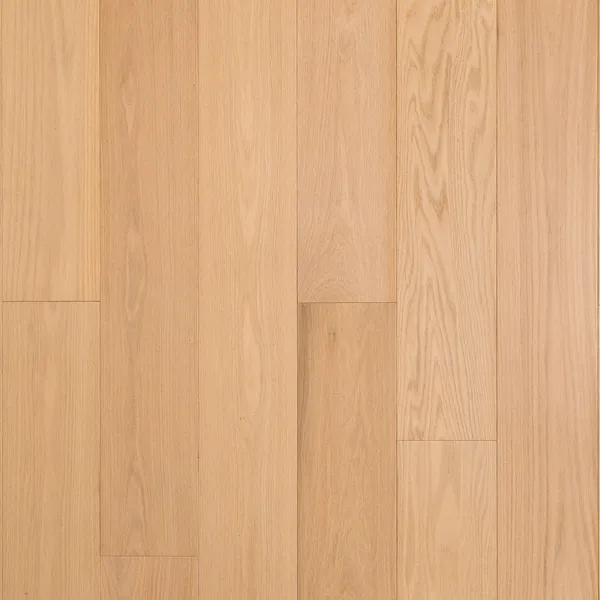 Lyra — Bentham Plank Bentham Plank