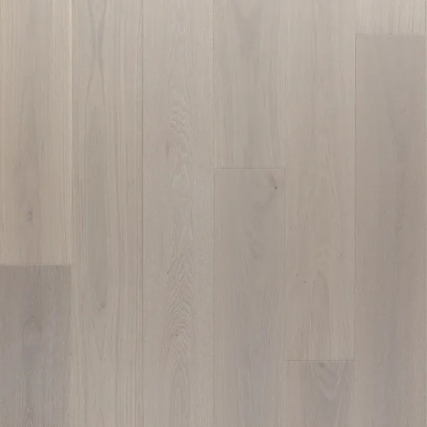 Margot — Bentham Plank Bentham Plank