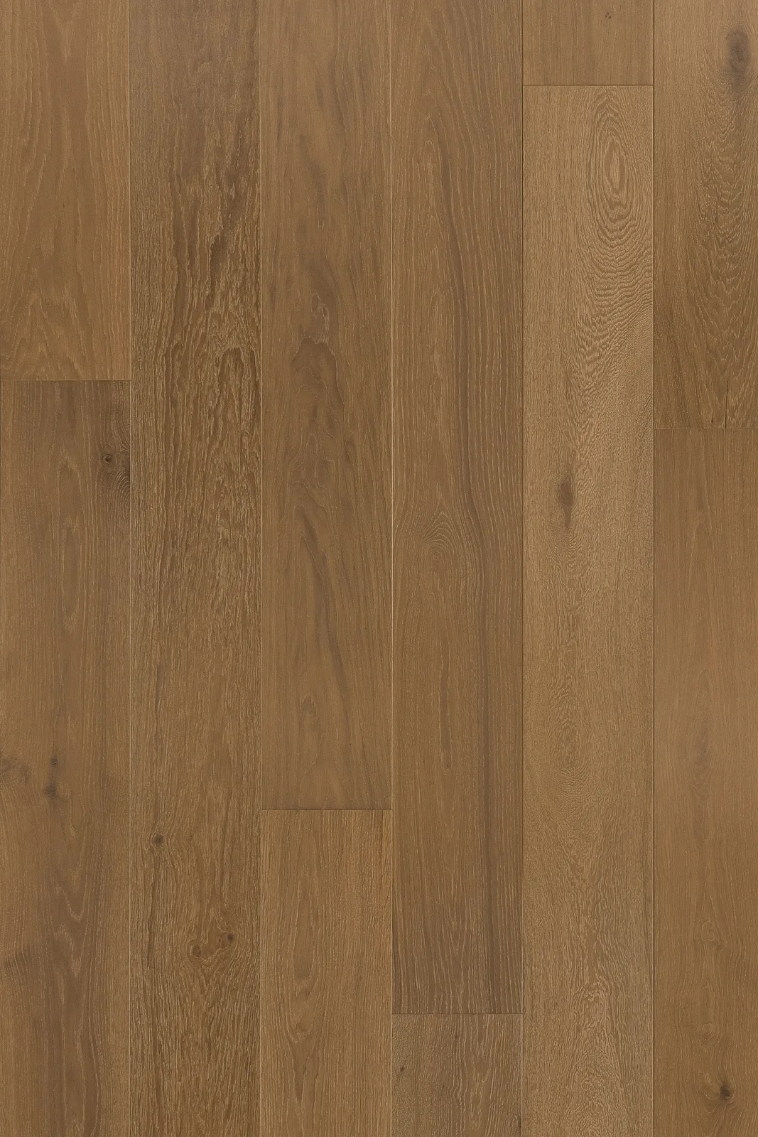 Minori — Bentham Plank Bentham Plank