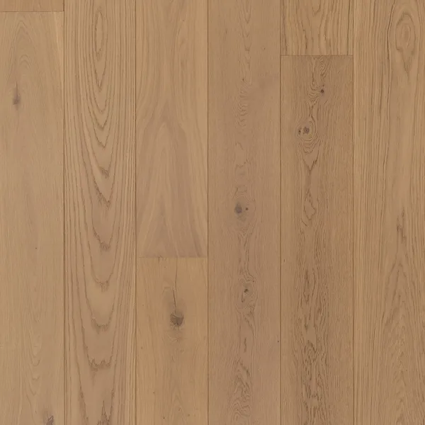 Sanzio — Bentham Plank Bentham Plank