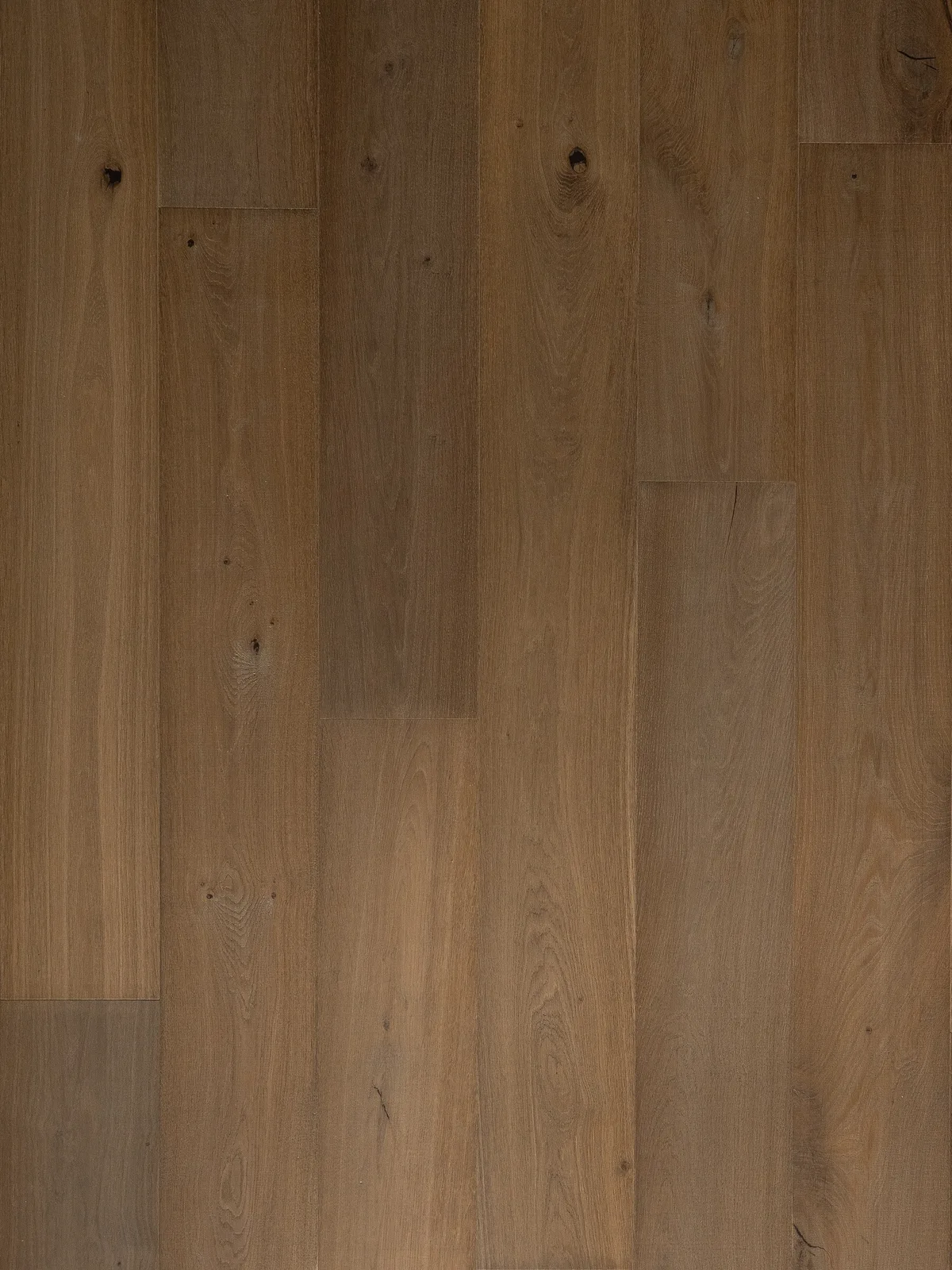 Palermo — Bentham Plank Teatro