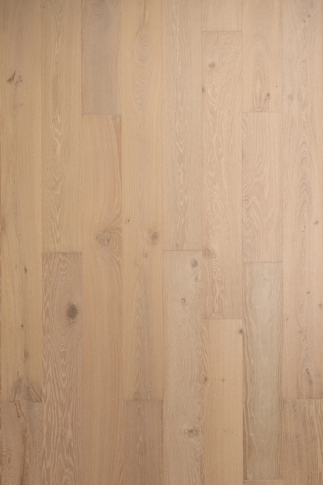 UV203 — Bentham Plank Urban Vista