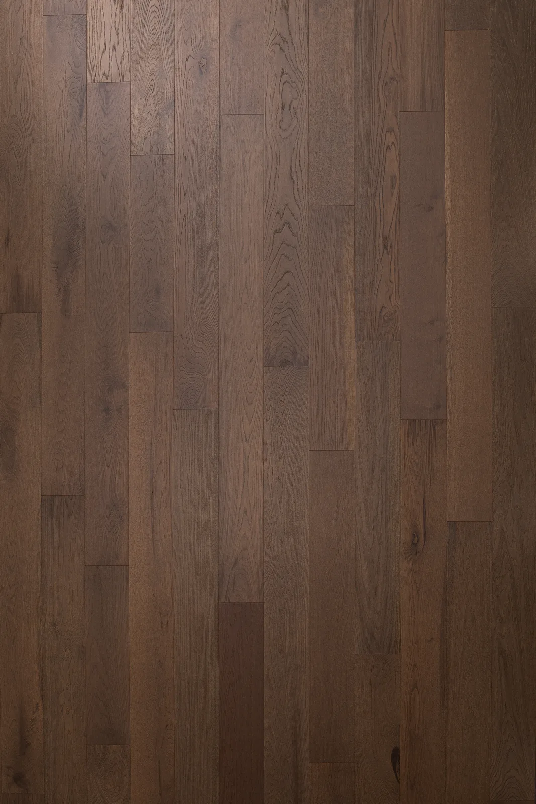 UV204 — Bentham Plank Urban Vista