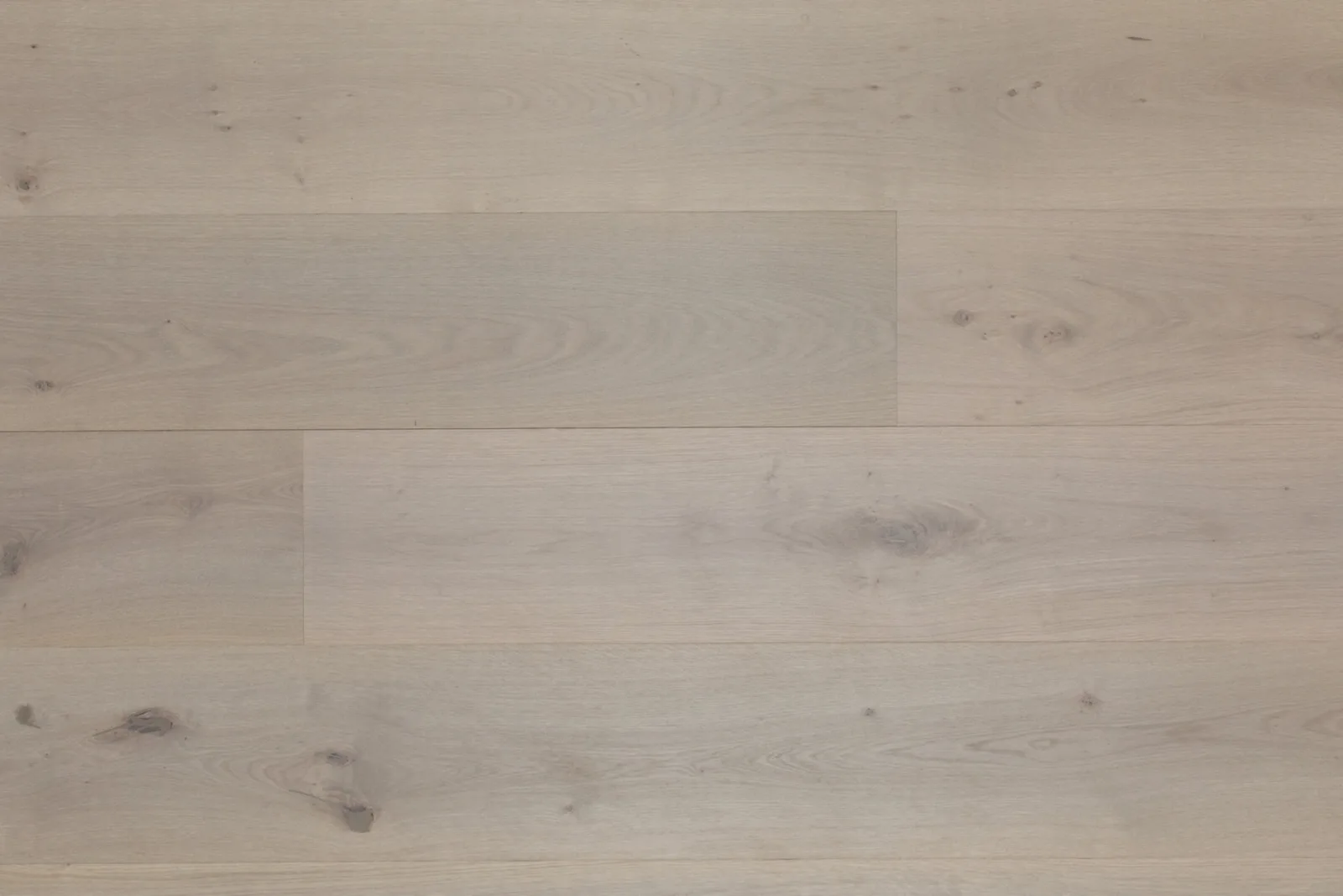 Venosa — Bergamo Floors Oak Venosa Bene (9.5in)