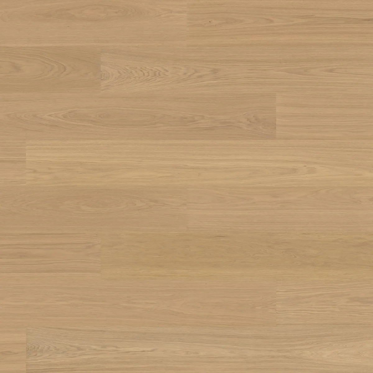 Misty White — Bjelin (Valinge Woodura) XXL Oak