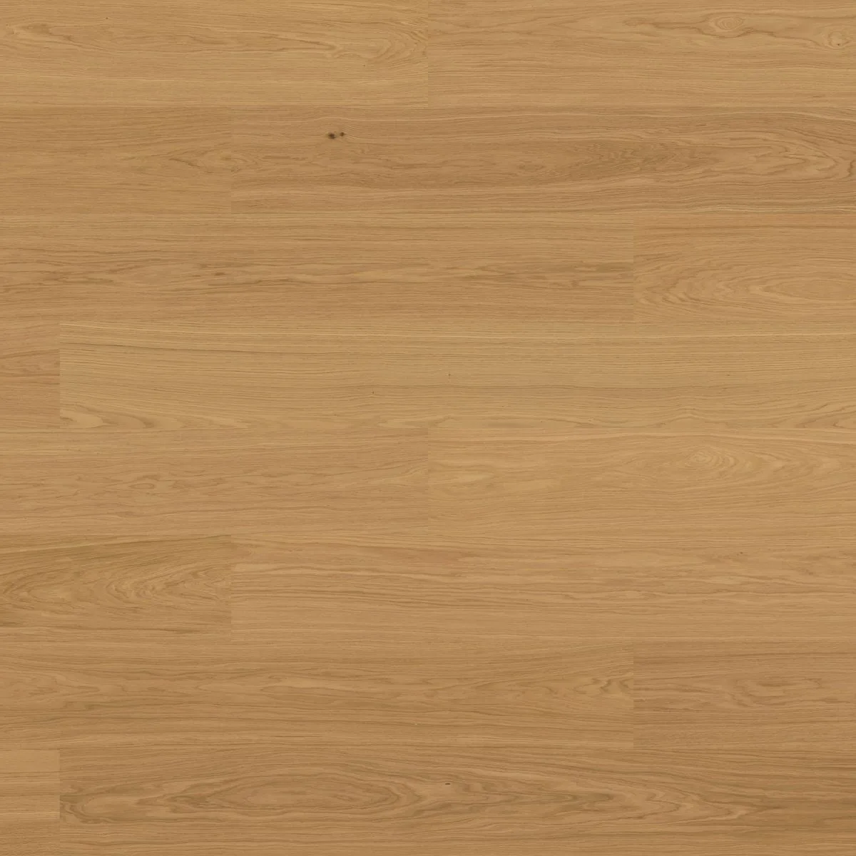 Oak Natural — Bjelin (Valinge Woodura) XXL Oak