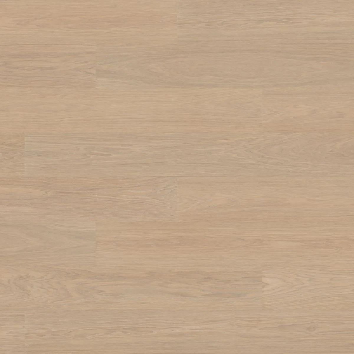 Powder White — Bjelin (Valinge Woodura) XXL Oak