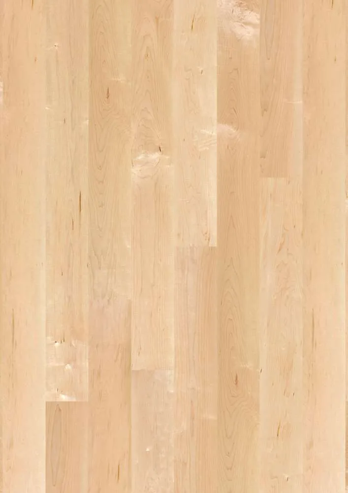 Maple Canadian Transparent — Boen Plank 138