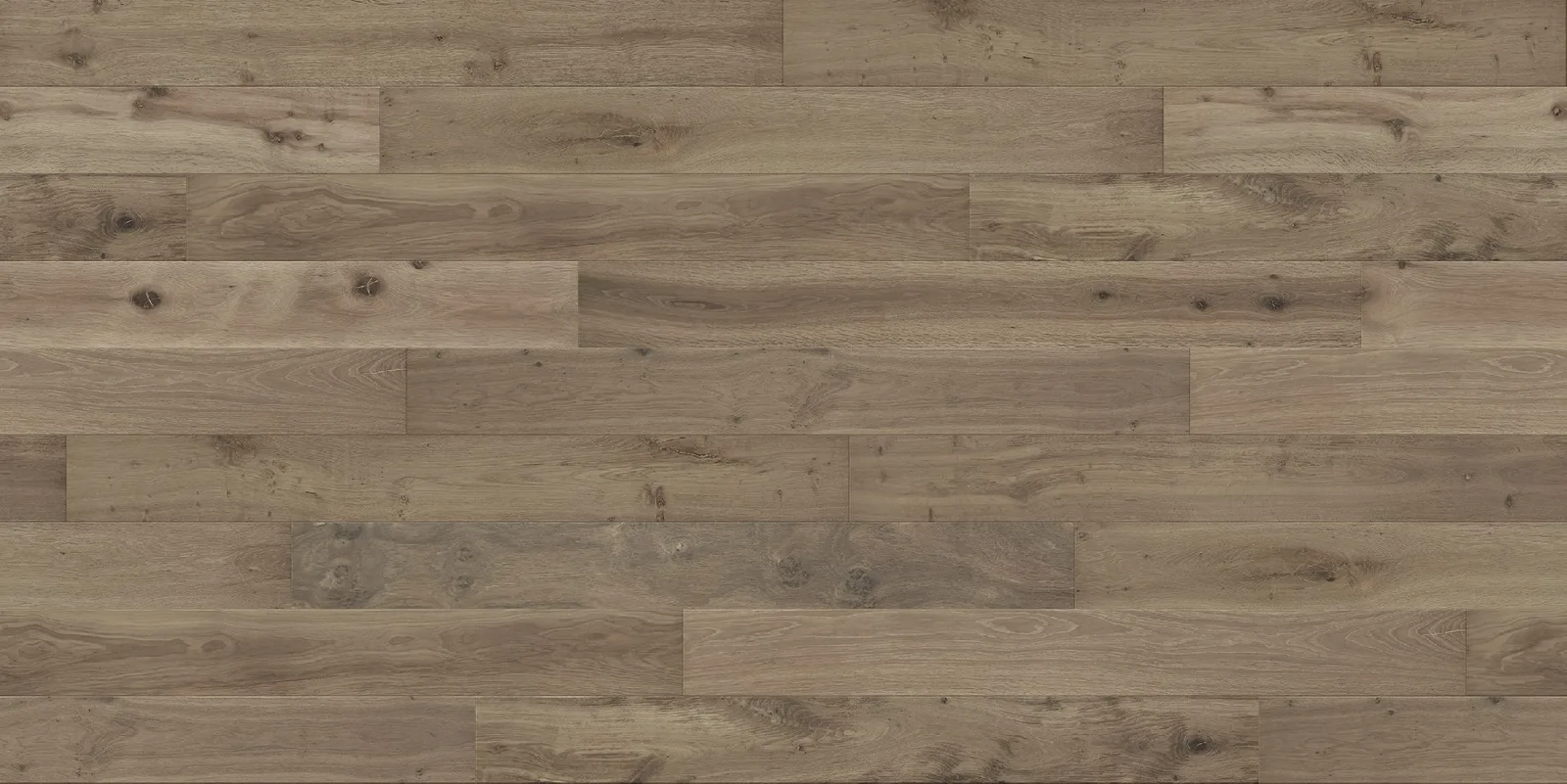 Driftwood room scene 1