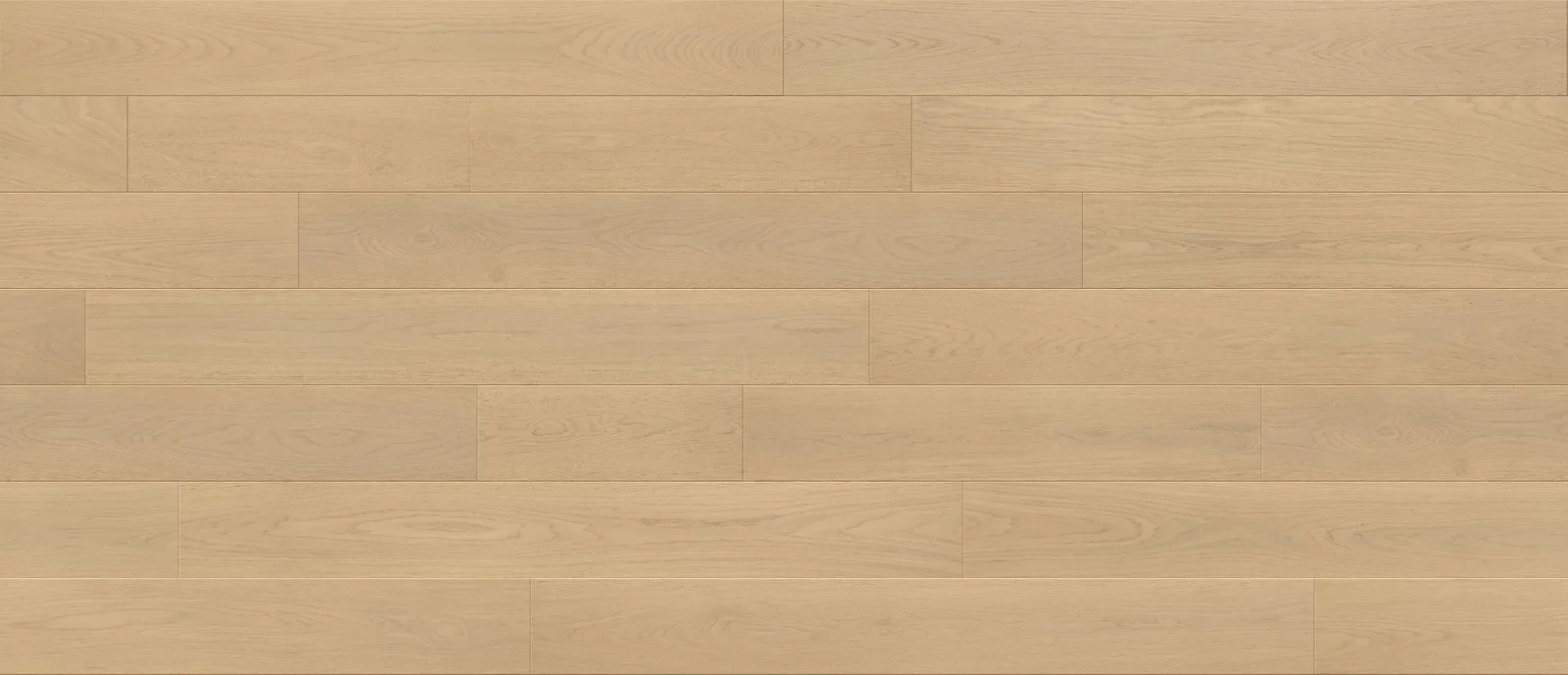 Polaris-Pro Select 7.5'' room scene 3