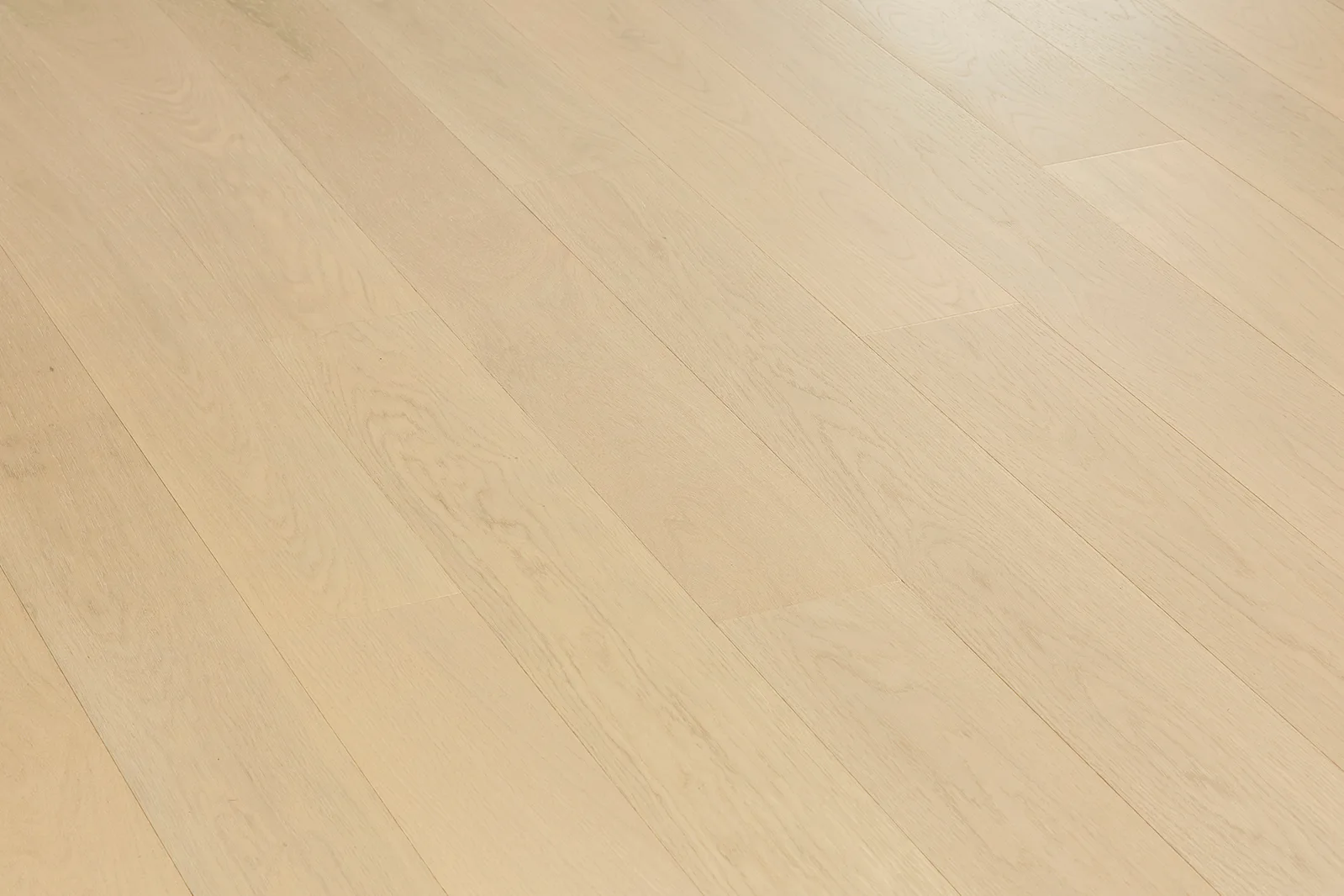 Polaris Slim Elegance room scene 1