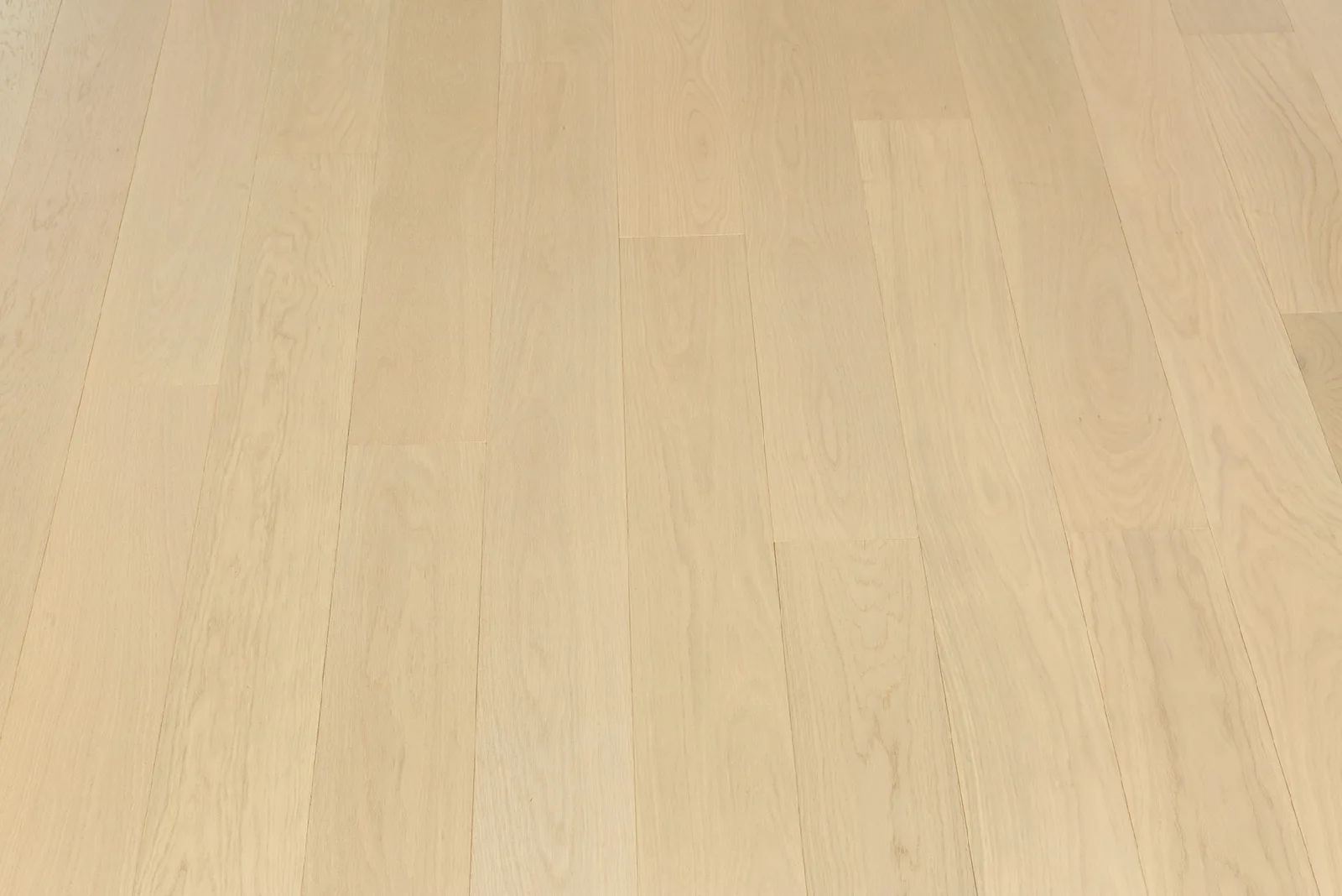 Polaris Slim Elegance room scene 2