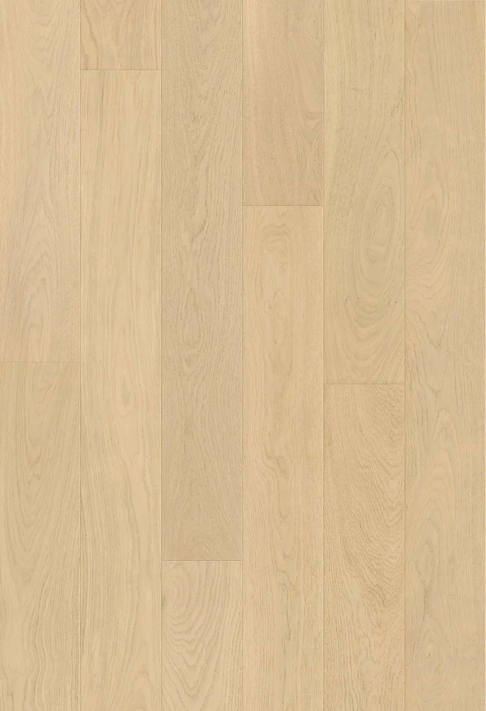 Polaris Slim Elegance room scene 4