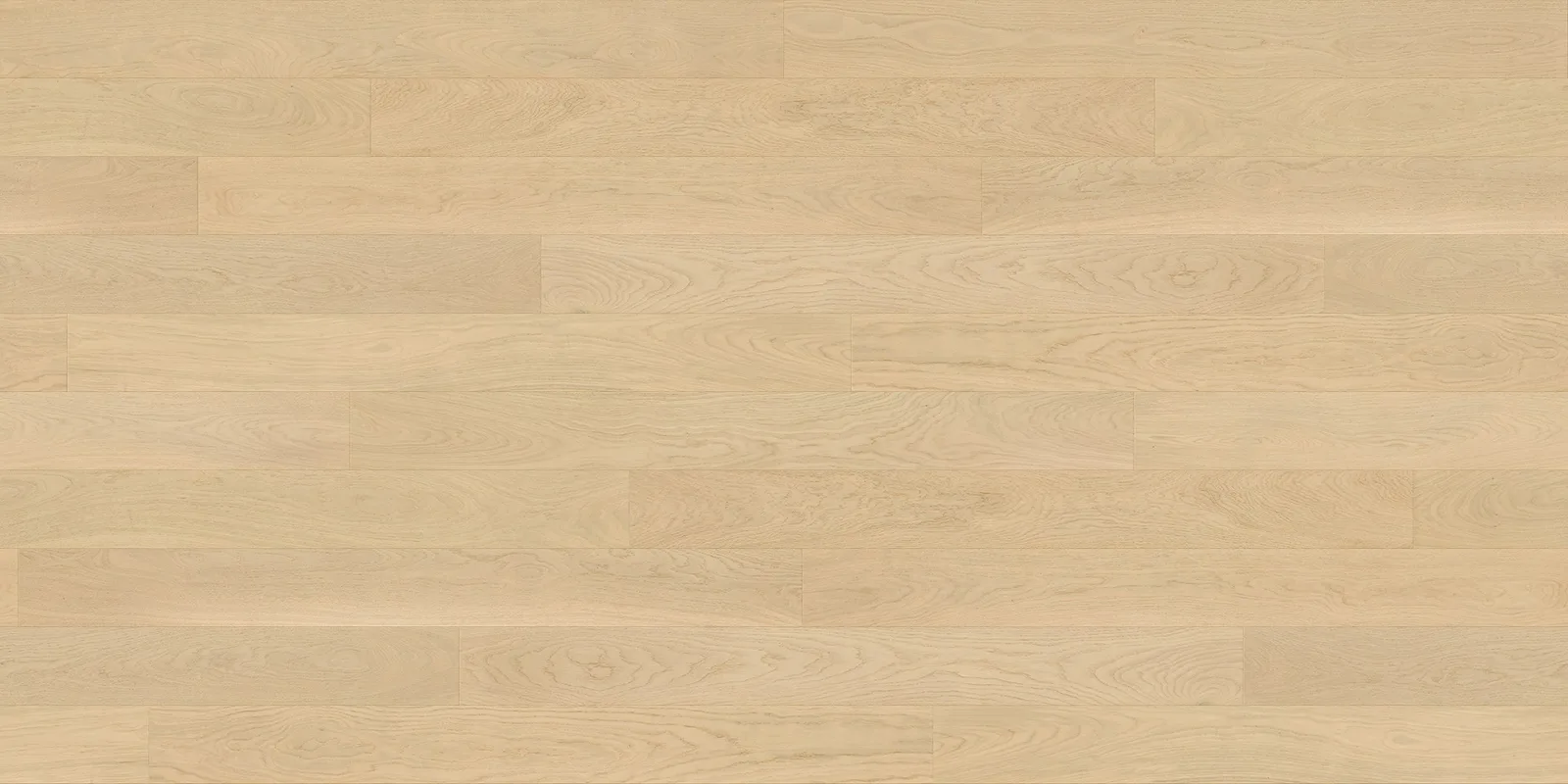 Polaris Slim Elegance room scene 5