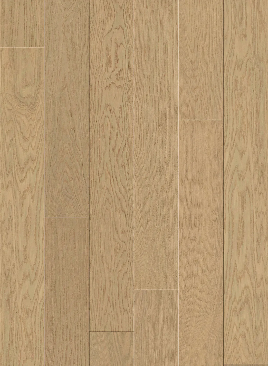 Coasta room scene 2