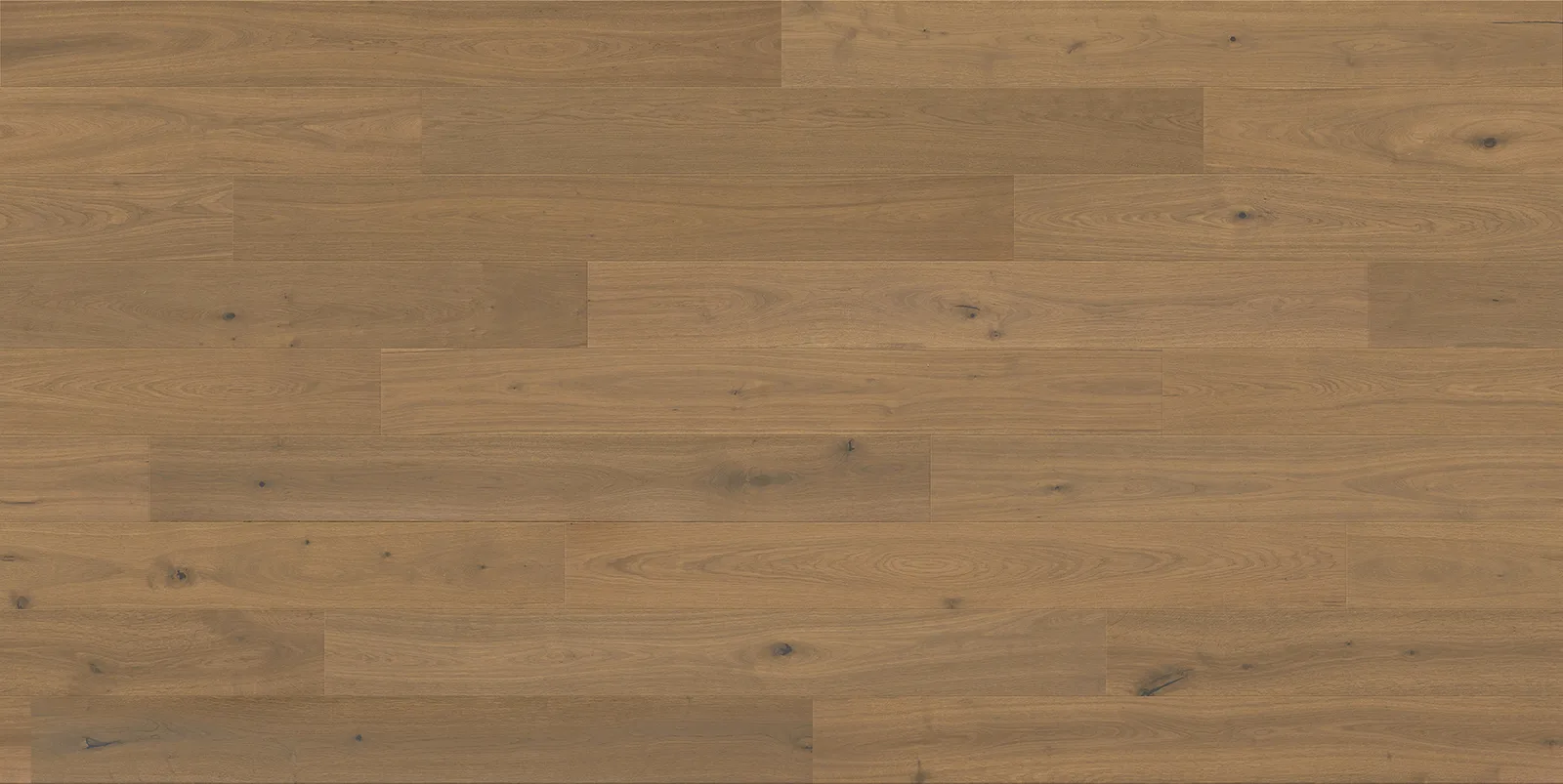 PARKWOOD room scene 4
