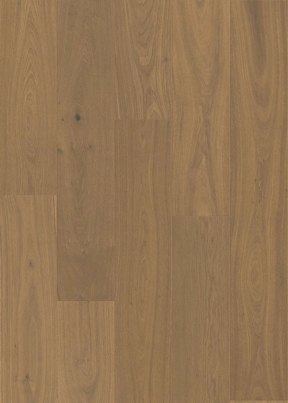 PARKWOOD room scene 5
