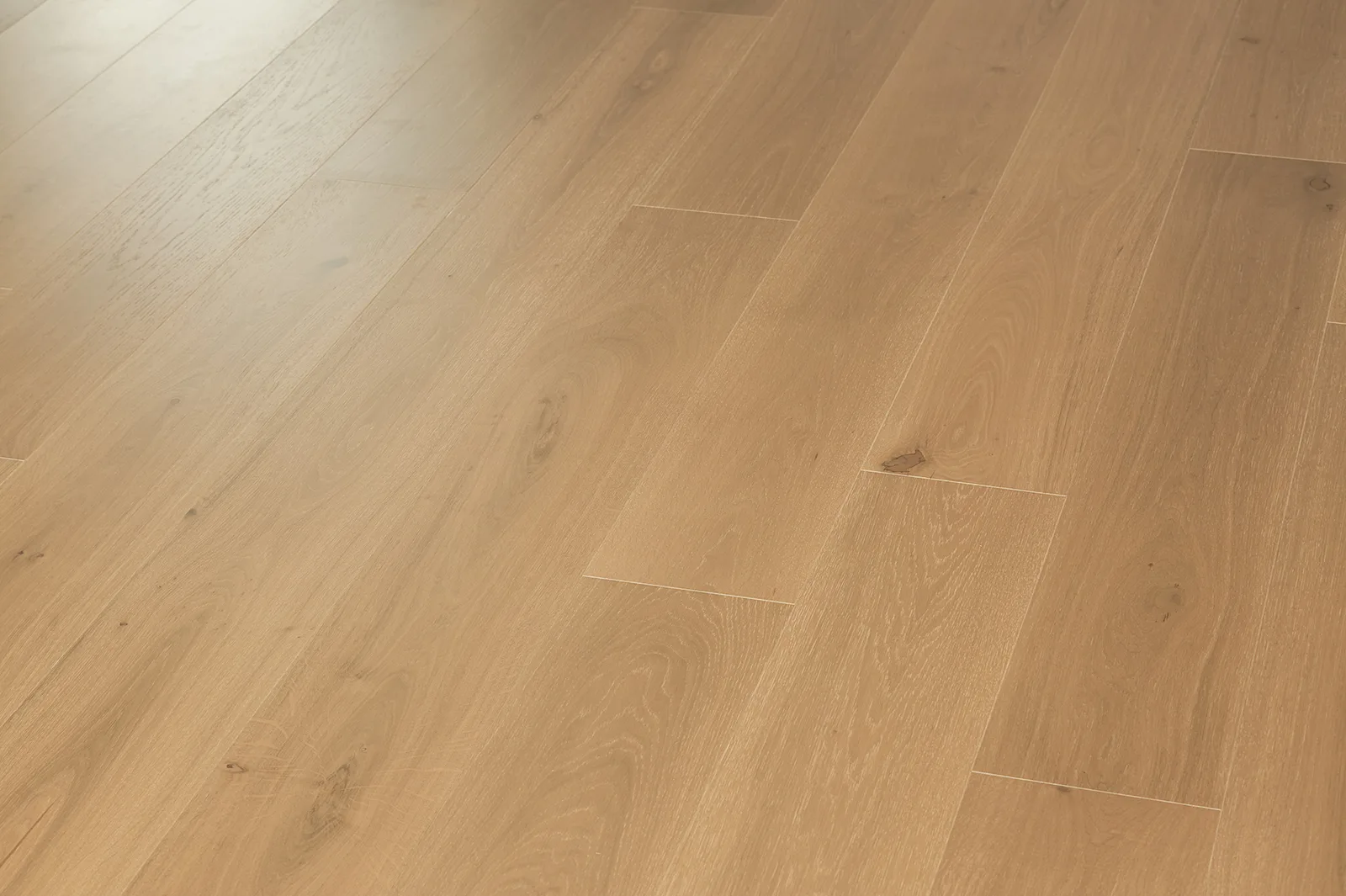 ROBINA room scene 1