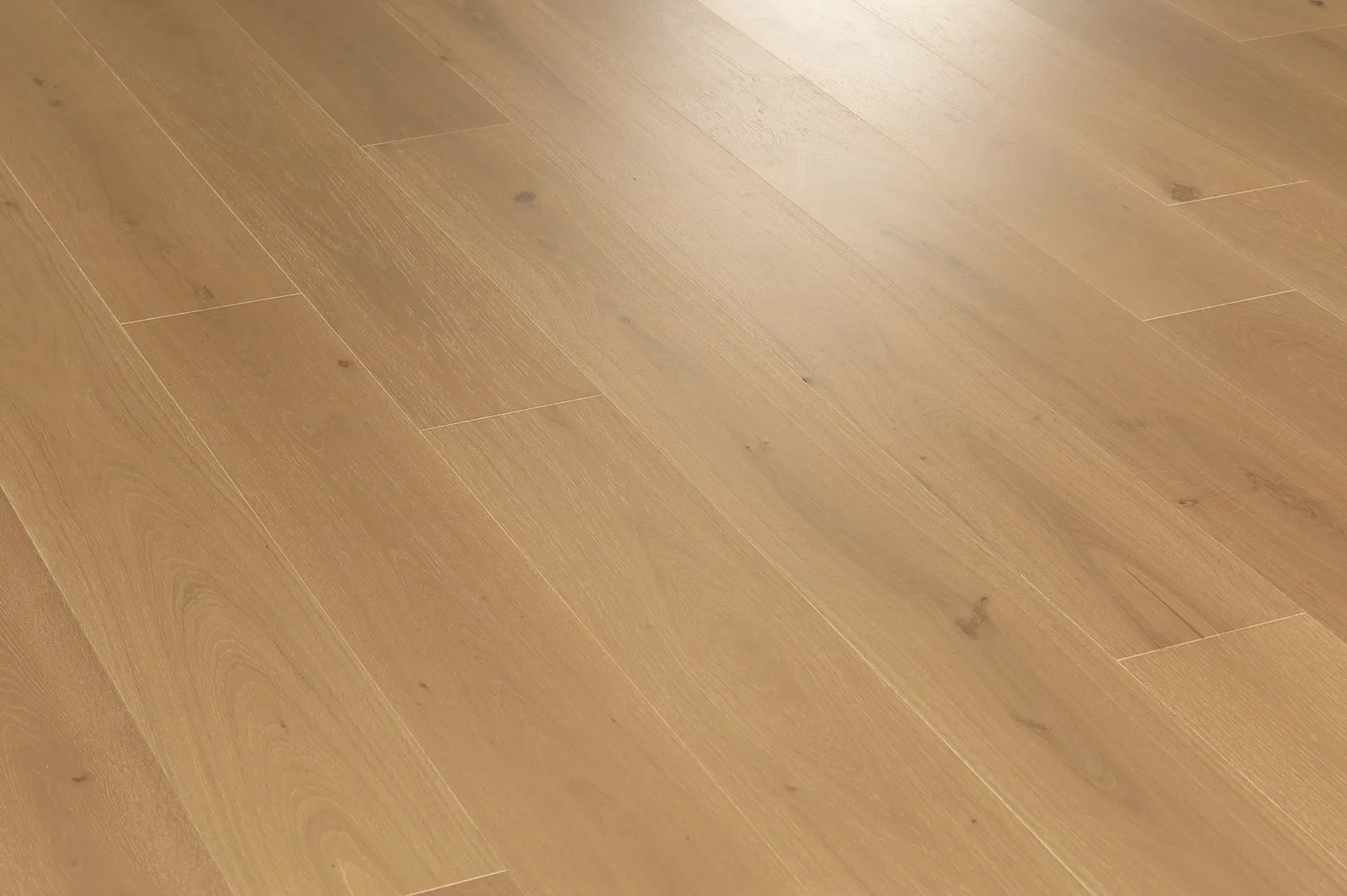 ROBINA room scene 2