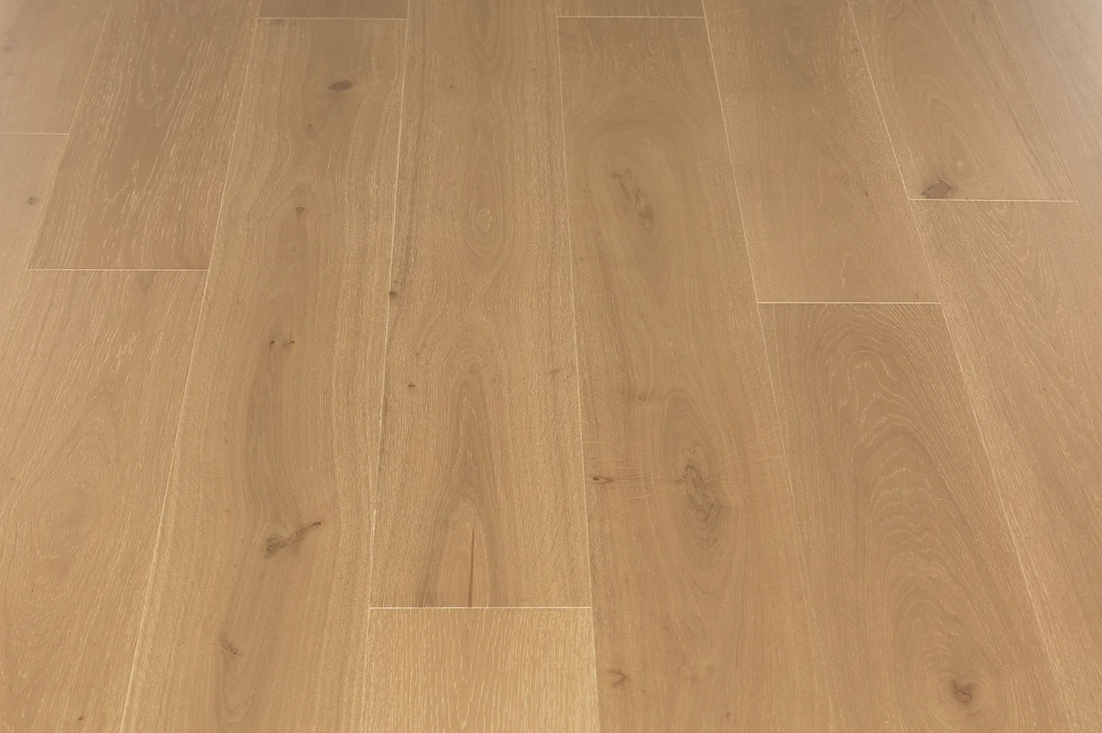 ROBINA room scene 3