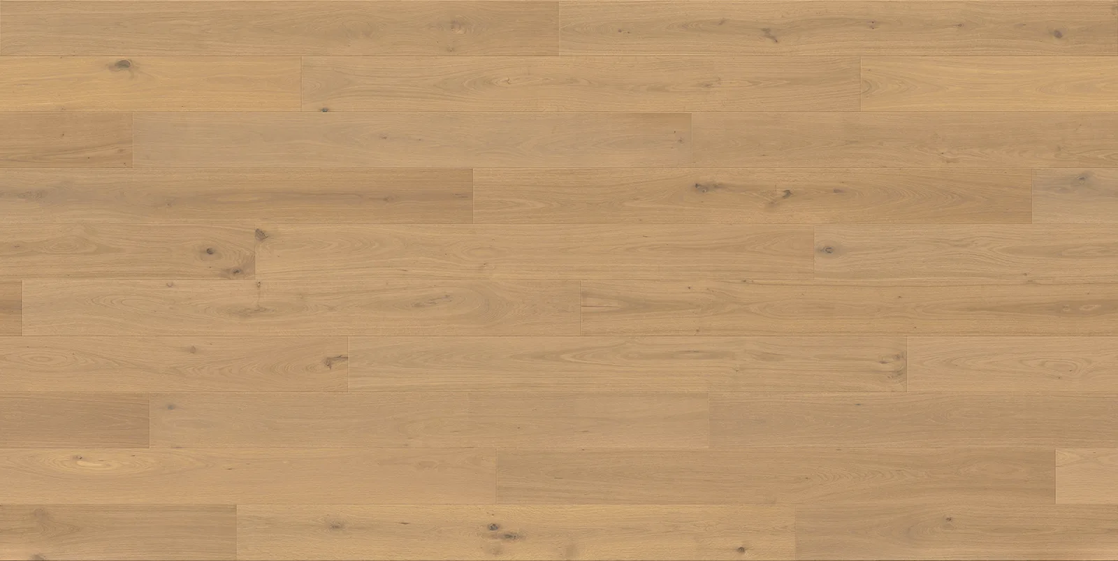 ROBINA room scene 4