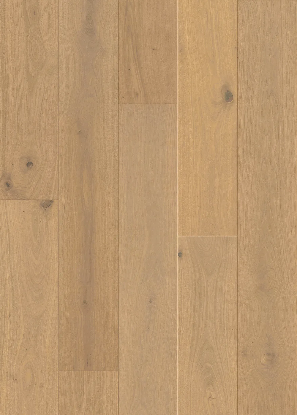 ROBINA room scene 5
