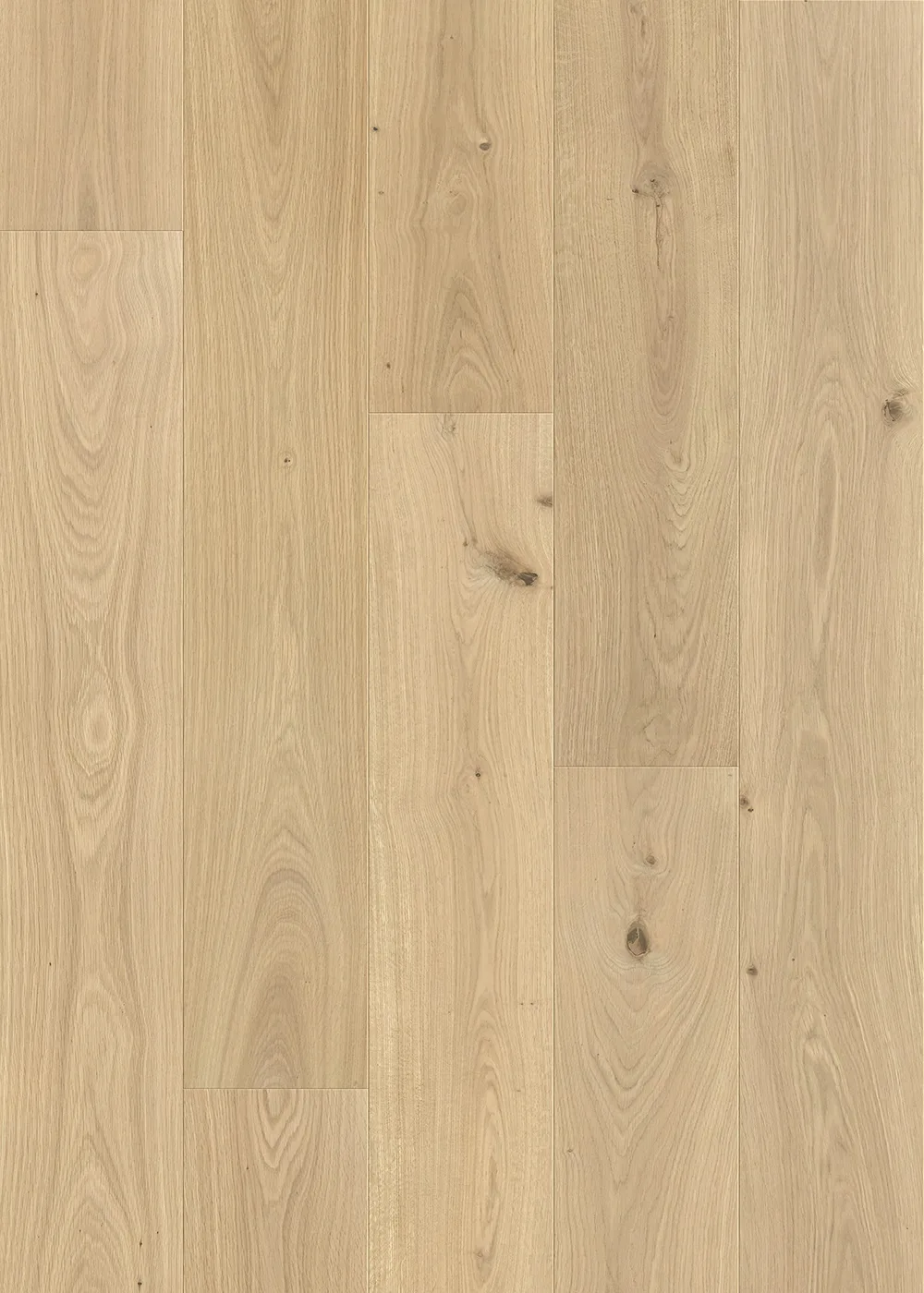 SPRINGBROOK room scene 4