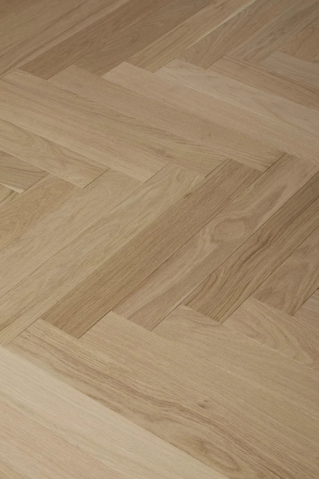 Apollo-Herringbone room scene 3